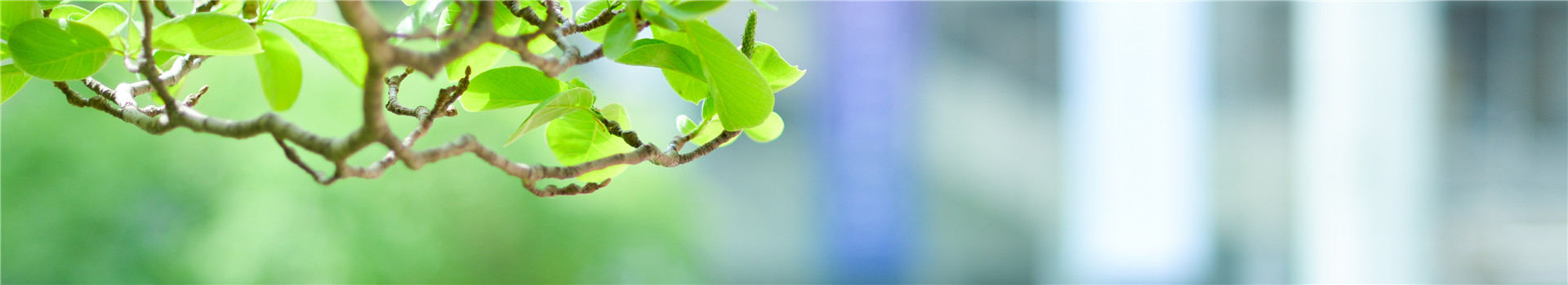 太阳集团tyc122cc